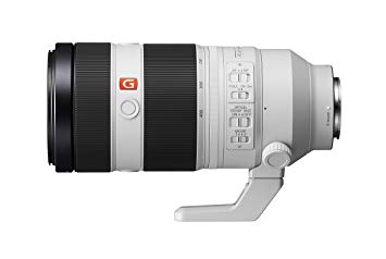 SEL100-400 G MASTER lens